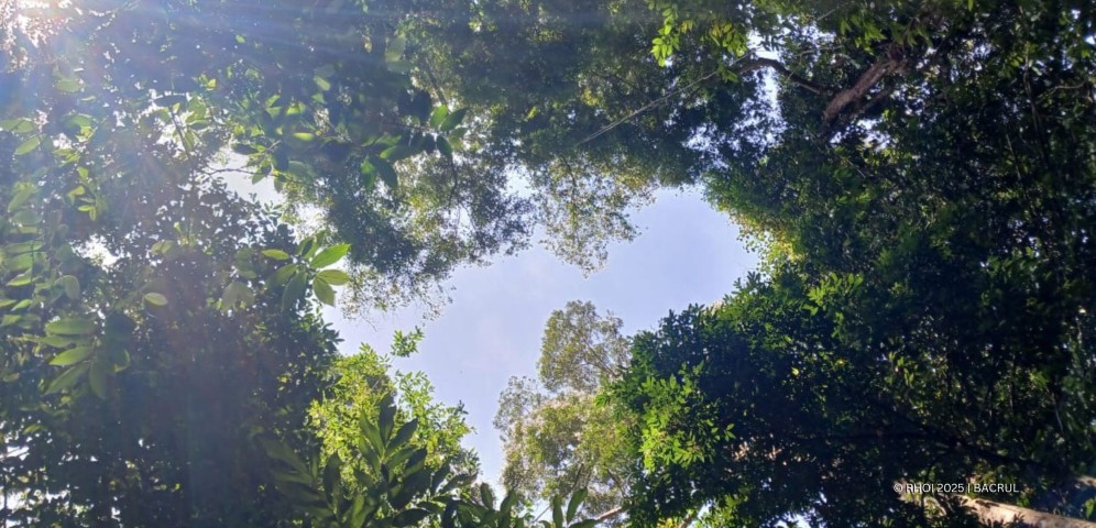 Peran Ganda Embung bagi Hutan Kehje Sewen (Kredit foto: Bachrul)