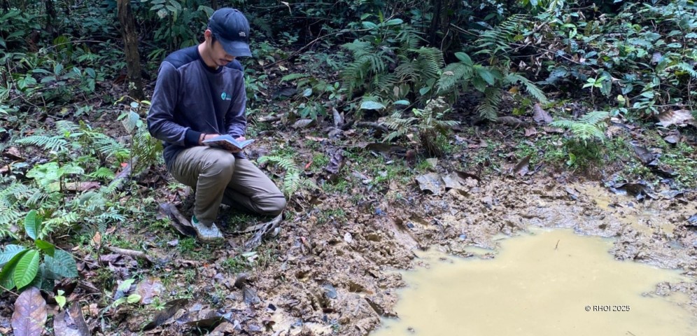 Peran Ganda Embung bagi Hutan Kehje Sewen (Kredit foto: RHOI 2025)